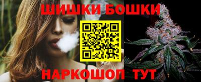индика Ирбит