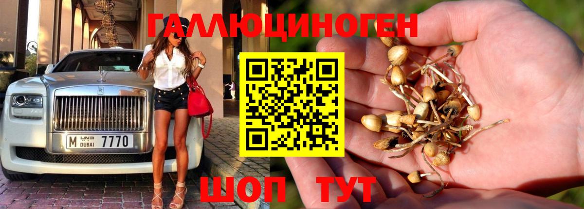 Псилоцибиновые грибы мухоморы Щёкино